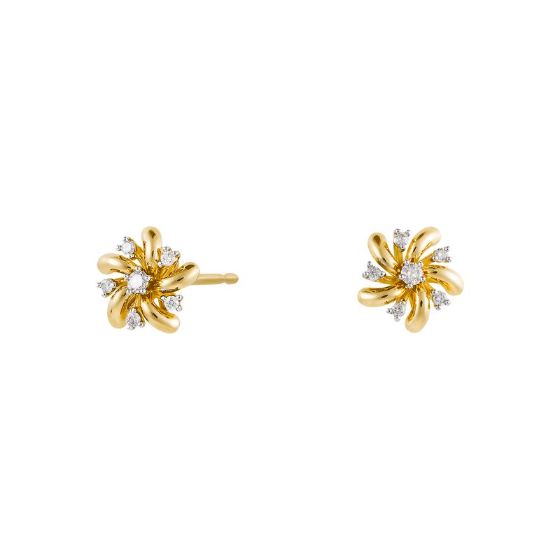 Flor-Polida